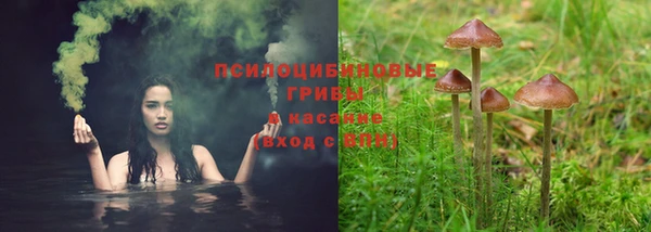 индика Алзамай