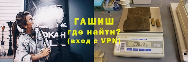 индика Алзамай