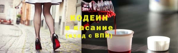 индика Алзамай