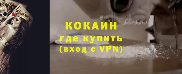 индика Алзамай