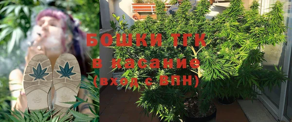 индика Алзамай