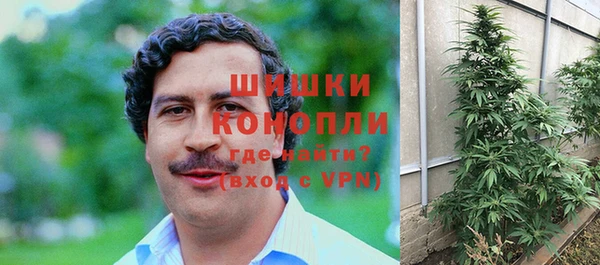 индика Алзамай