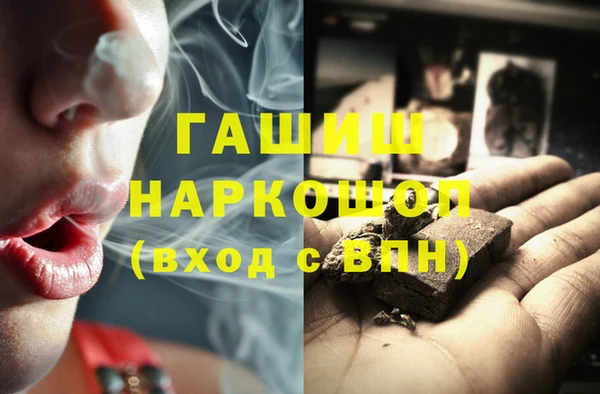 индика Алзамай